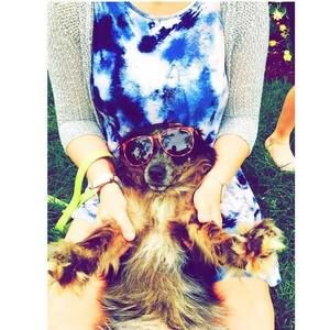 Meet your Posher, Emma